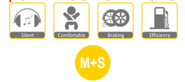 لاستیک-سواری-چائویانگ