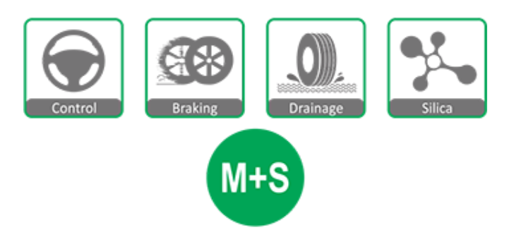 لاستیک-سواری-چائویانگ