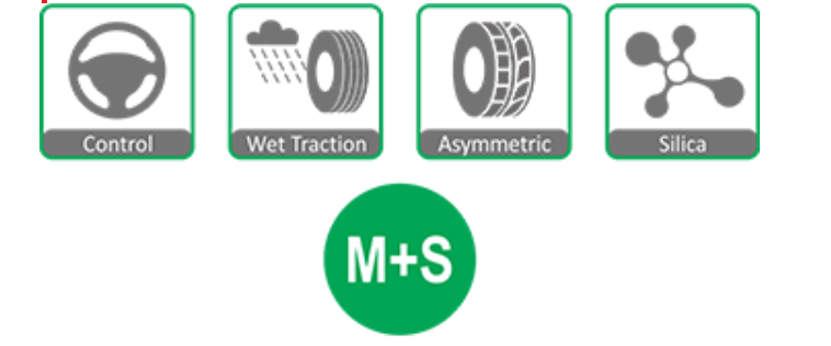 لاستیک سواری چائویانگ