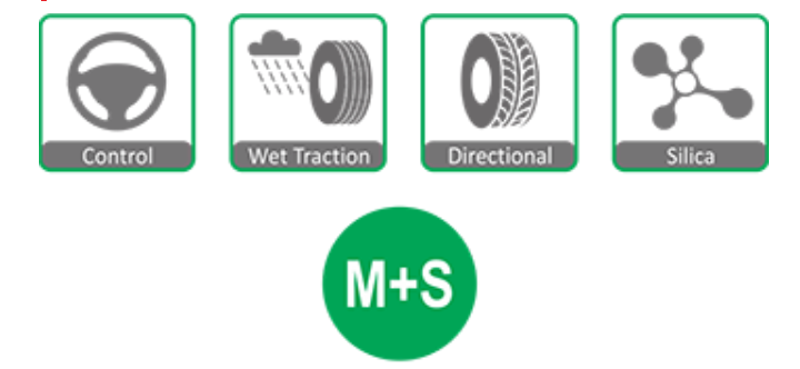 لاستیک-سواری-چائویانگ
